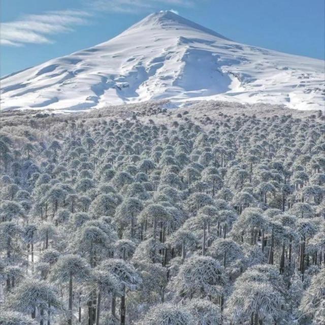 Pucon, La Capital Del Sur De Chile Appartement Buitenkant foto